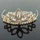 Tiara strasslöv