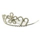 Tiara strassblomma