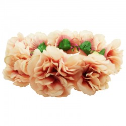 Hårkrans stora pioner